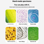 2507 Portable Handheld Microscope with Stand for Kids 180X Magnification STEM Optical Microscope Educational Tool