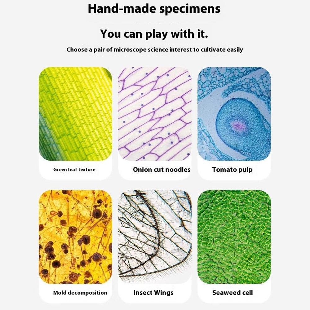 2507 Portable Handheld Microscope with Stand for Kids 180X Magnification STEM Optical Microscope Educational Tool