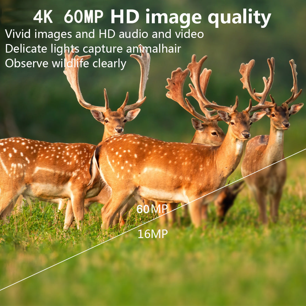 PR300 WIFI Vildtkamera 60MP 4K Video Nattesyn Infrarød IP66 Vandtæt Vildtkamera