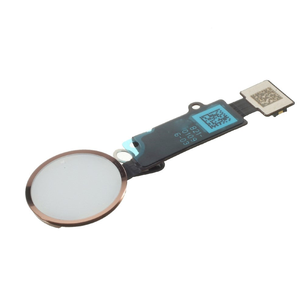 OEM Homeknap Flexkabel Del til iPhone 8 / 8 Plus (Ingen fingeraftryksidentifikationsfunktion)