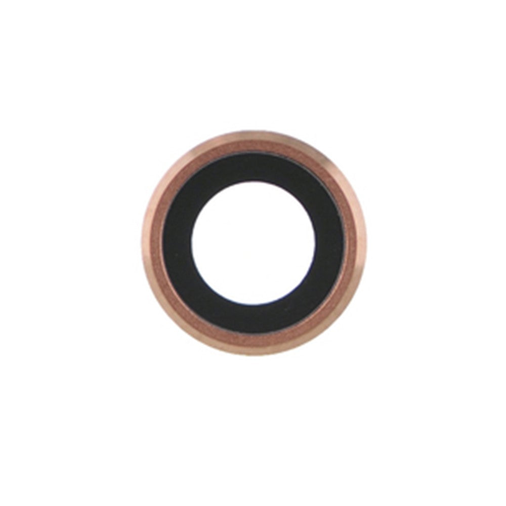 OEM Replacement Rear Camera Lens and Bezel Parts for iPad Pro 9.7 inch (2016)