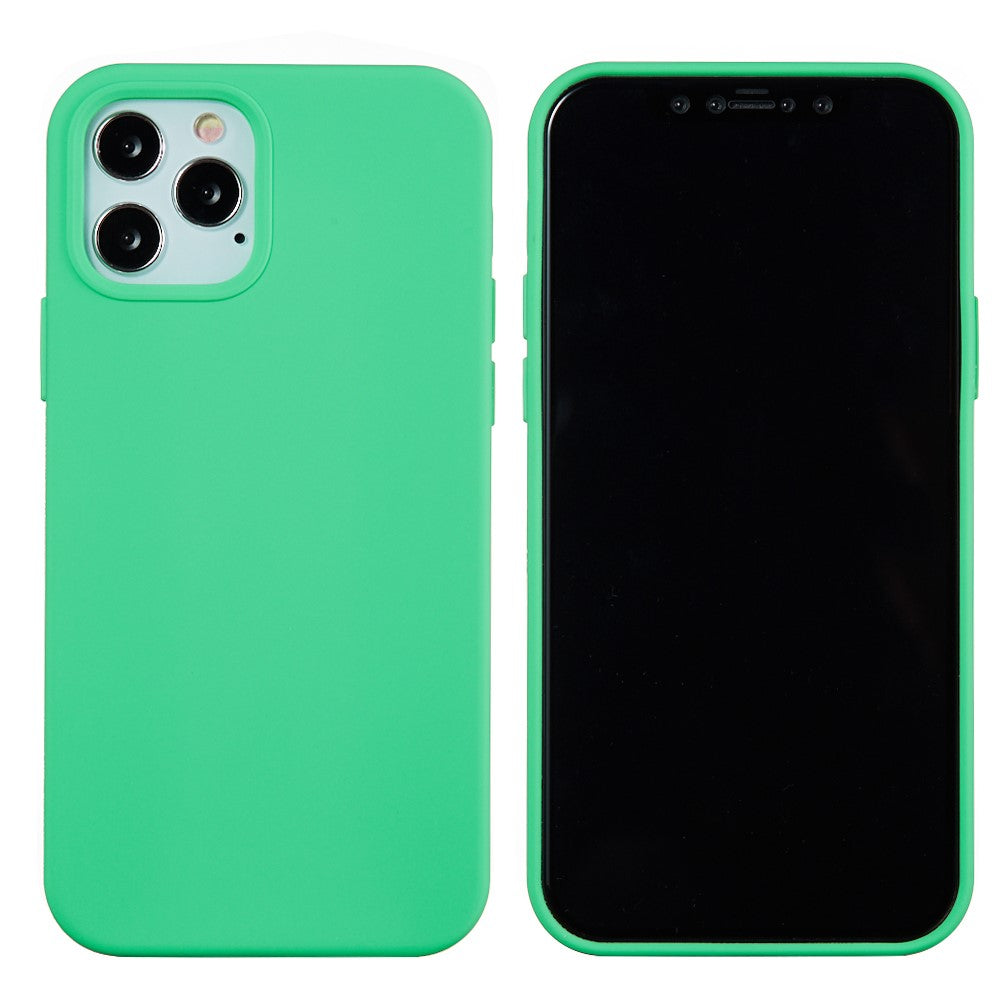 Soft Liquid Silicone Back Mobile Phone Case for iPhone 12 mini Colorful Phone Accessory