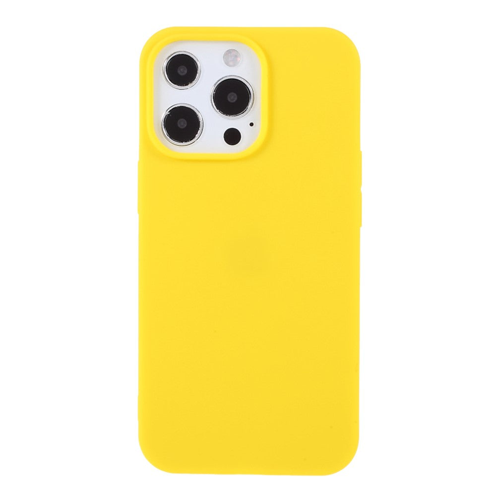 For iPhone 13 Pro 6.1 inch Slim Surface Layer Smooth Matte Soft Flexible TPU Cover