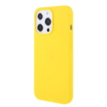 For iPhone 13 Pro 6.1 inch Slim Surface Layer Smooth Matte Soft Flexible TPU Cover