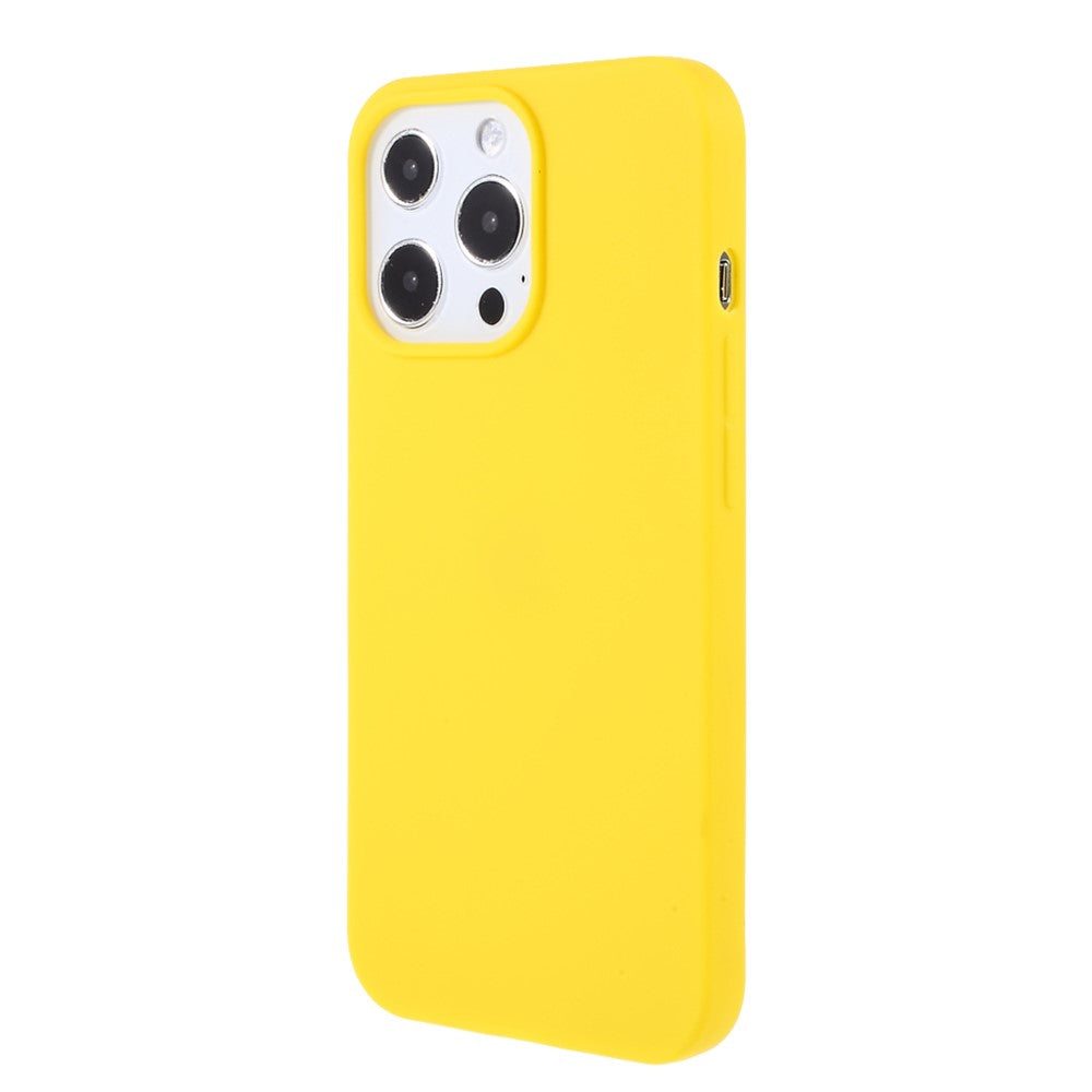 For iPhone 13 Pro 6.1 inch Slim Surface Layer Smooth Matte Soft Flexible TPU Cover