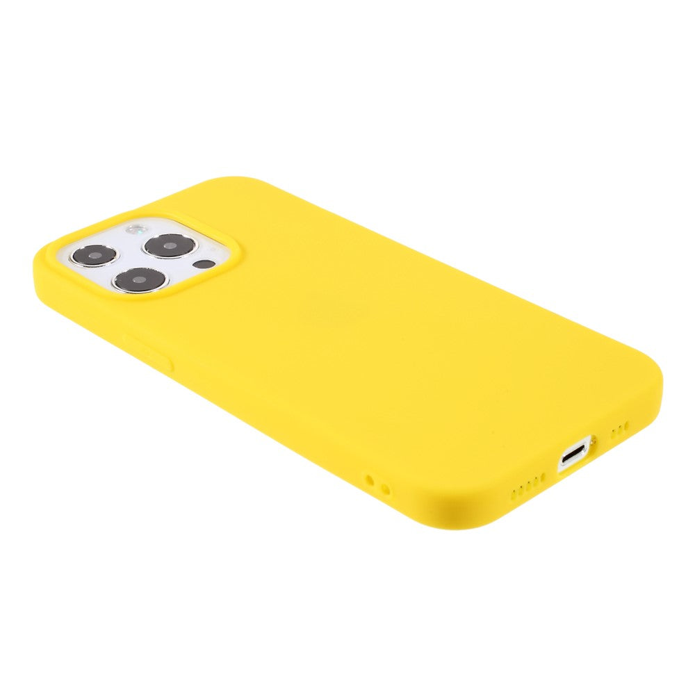 For iPhone 13 Pro 6.1 inch Slim Surface Layer Smooth Matte Soft Flexible TPU Cover