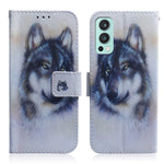 Stylish Pattern Printing Shockproof Wallet Stand PU Leather Phone Protective Case Shell for OnePlus Nord 2 5G