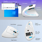 HXSJ T22 Ergonomic Vertical Mouse 2.4G/Bluetooth-compatible Dual Mode 2400DPI Adjustable Mouse