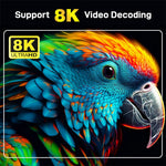 TV98 Pro 2+16GB Android TV Box 8K / 60fps 3D HDR10+ Dual WiFi Bluetooth-compatible Voice Remote Control Media Player