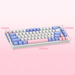 ZA68 Pro RGB Hot Swap 2.4G+Type-C+Bluetooth-compatible 68-Key Computer Keyboard