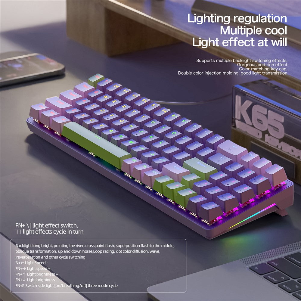 ZIYOULANG K65 78 Keys Hot Swappable Mechanical Keyboard RGB Light USB Wired Keyboard