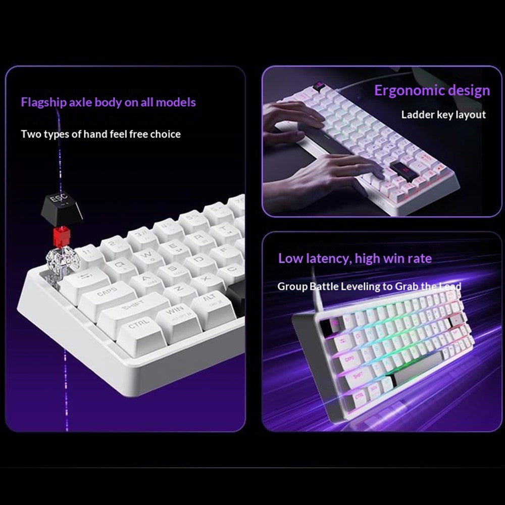 ERAZER MK68 68-tangenters mekaniskt tangentbord med blått och röd brytare, RGB-bakgrundsbelyst, trådbundet speltangentbord med typ-C (investerat av Lenovo)