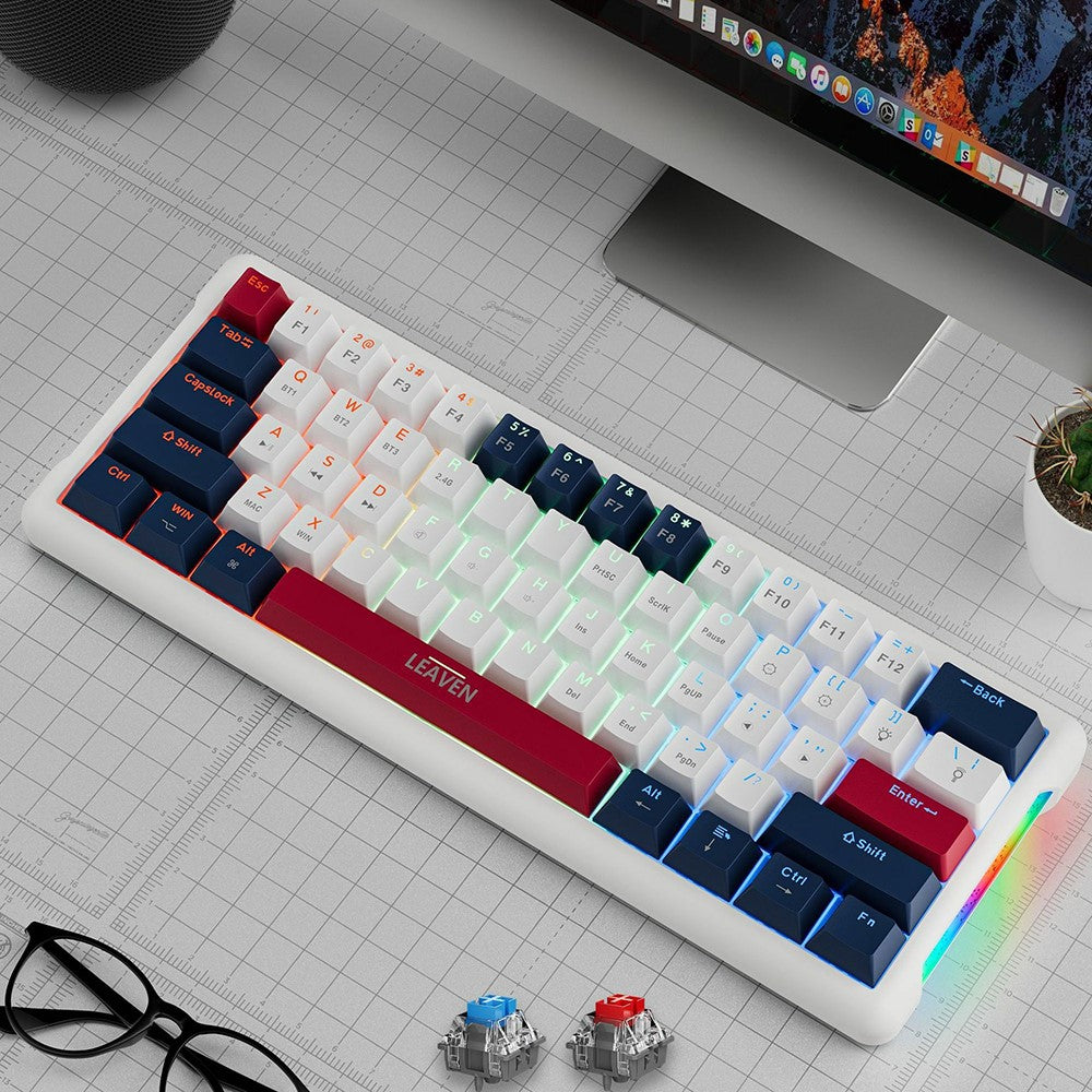 LEAVEN K610 1,6 m kabelbaseret 61-tastatur vandkølet e-sports gaming mekanisk tastatur, klassisk version