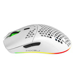 HXSJ T66 trådløs RGB-lanterne-mus med hult design og 4-trins justerbar DPI