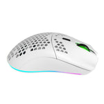 HXSJ T66 trådløs RGB-lanterne-mus med hult design og 4-trins justerbar DPI