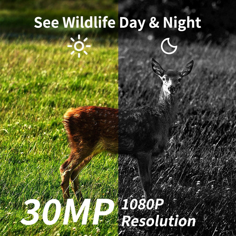 PR804LTE 4G Trail Camera 30MP 1080P Night Vision IP66 Waterproof Hunting Camera for Wildlife Scouting