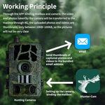 PR804LTE 4G Trail Camera 30MP 1080P Night Vision IP66 Waterproof Hunting Camera for Wildlife Scouting