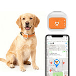 G01 Waterproof Smart Pet Tracker WiFi+GPS Positioning Anti-Lost Collar for Cats Dogs, Eurasian Version