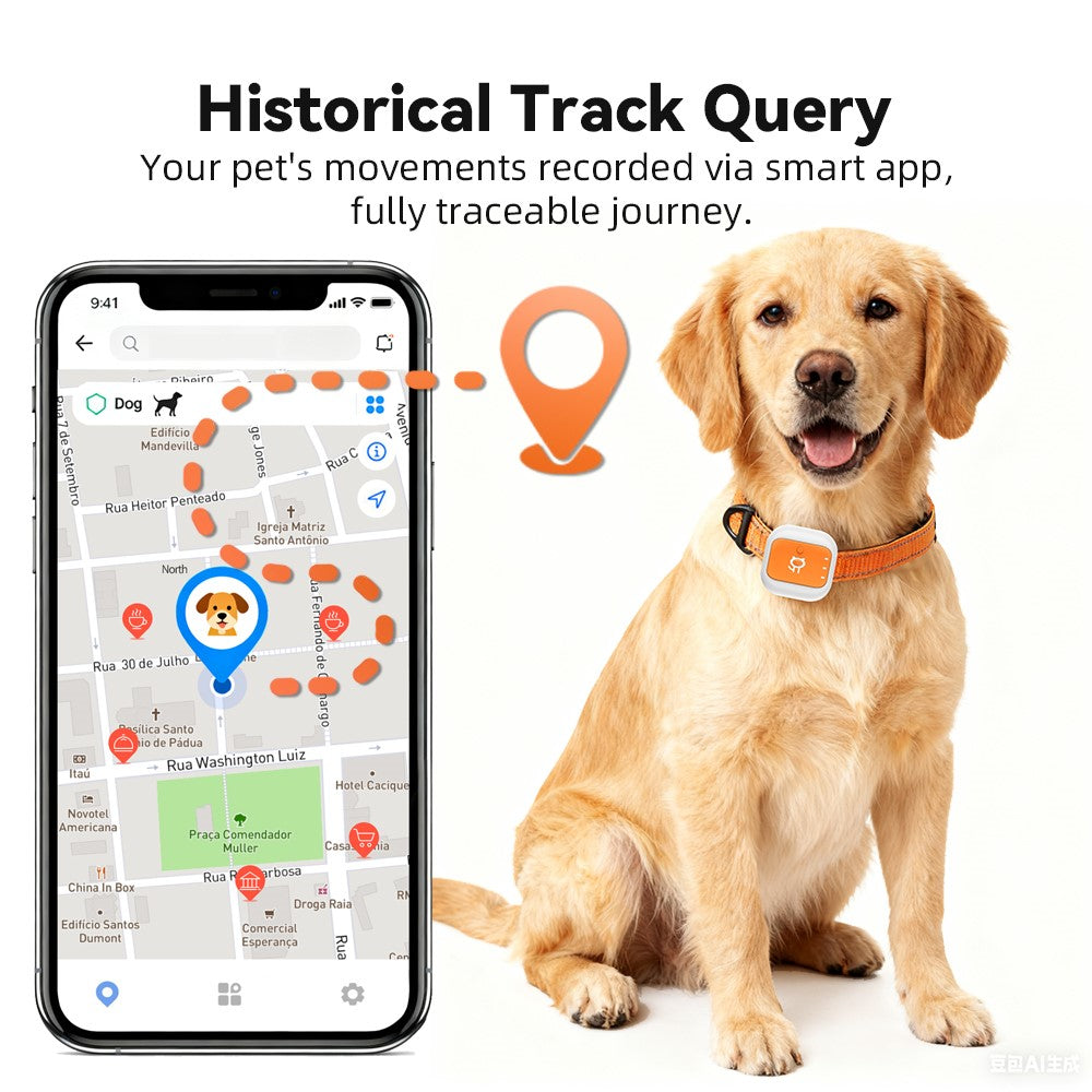 G01 Waterproof Smart Pet Tracker WiFi+GPS Positioning Anti-Lost Collar for Cats Dogs, Eurasian Version