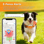 G01 Waterproof Smart Pet Tracker WiFi+GPS Positioning Anti-Lost Collar for Cats Dogs, Eurasian Version