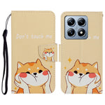For Xiaomi 14T Pro Case Pattern Printing Protective Leather Folio Phone Cover