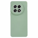 Til OnePlus 13 Cover TPU-bagside Blød Ridsefri Fiberforing Telefoncover