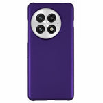 For OnePlus 13 Case Hard PC Frosted Minimalist Phone Cover