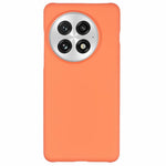 For OnePlus 13 Case Hard PC Frosted Minimalist Phone Cover