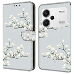 For Xiaomi Redmi Note 13 Pro+ 5G Case Pattern Printing Anti-Drop Leather Flip Wallet Phone Cover