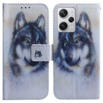 For Xiaomi Redmi Note 12 Pro+ 5G Shockproof Wallet Cover Pattern Printing PU Leather Stand Phone Case