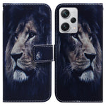 For Xiaomi Redmi Note 12 Pro+ 5G Shockproof Wallet Cover Pattern Printing PU Leather Stand Phone Case