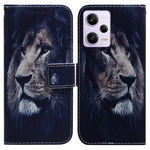 For Xiaomi Poco X5 Pro 5G / Redmi Note 12 Pro 5G / 12 Pro Speed 5G Phone Case Pattern Printing PU Leather Wallet Stand Cover