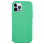 For iPhone 15 Pro Max Liquid Silicone Soft Lining Back Cover Anti-drop Phone Case