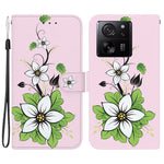For Xiaomi Redmi K60 Ultra / 13T / 13T Pro Case Pattern Printing Phone Stand Cover