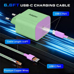PD 60W Fast Charger for Nintendo Switch 2 / Lite / OLED Gaming Console Type-C Wall Charger with 6.6ft Cable