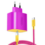 PD 60W Fast Charger for Nintendo Switch 2 / Lite / OLED Gaming Console Type-C Wall Charger with 6.6ft Cable
