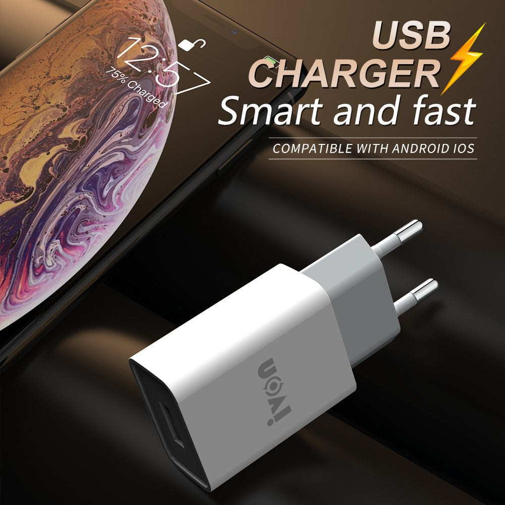 IVON AD-33 2.1A USB Charger Portable Travel Wall Adapter + 1m Type-C Data Cable