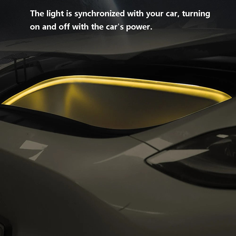 TSL802 For Model Y / 3 Magnetic Silicone LED Strip Light Decor Lamp Car Light