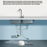 SQ500B Tuya Smart Zigbee 3.0 Water Leak Detector Smart Sensor for Alexa Google Assistant Real Time Monitor