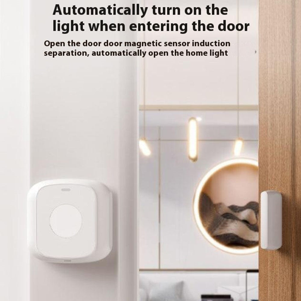 DS10 Smart Door Window Sensor Magnetic Wireless Switch Detector for Home Security Alarm