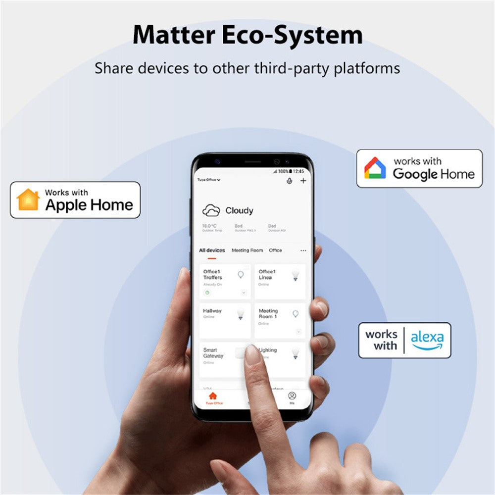 NEO NAS-WR07WM Tuya Matter WiFi Smart Plug 16A FR Plug Smart Socket with Power Metering for Apple / Google / Amazon