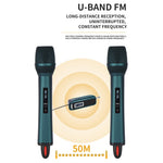 TX-12 Stage Singing Wireless Microphone Outdoor Home Live Streaming Rechargeable Mic, 2 Mics + 1 Receiver