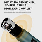 TX-12 Stage Singing Wireless Microphone Outdoor Home Live Streaming Rechargeable Mic, 2 Mics + 1 Receiver