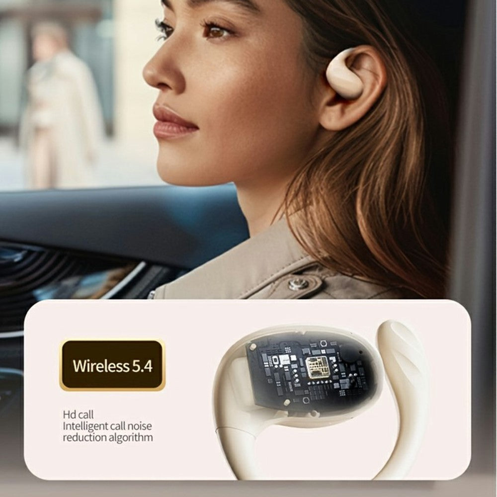 AIGO SJ225 Over-Ear Hook True Wireless Earphones Bluetooth-Compatible High Sound Earbuds with Charging Case