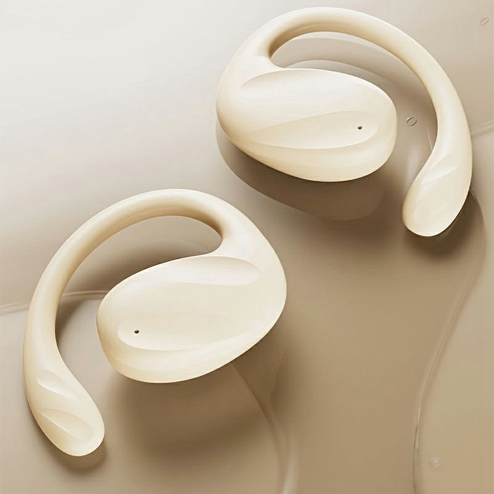 AIGO SJ225 Over-Ear Hook True Wireless Earphones Bluetooth-Compatible High Sound Earbuds with Charging Case