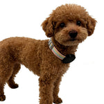 915810 For Xiaomi Tag Pet Collar Mount Engineering Plastic Anti-lost Tracker Protective Case