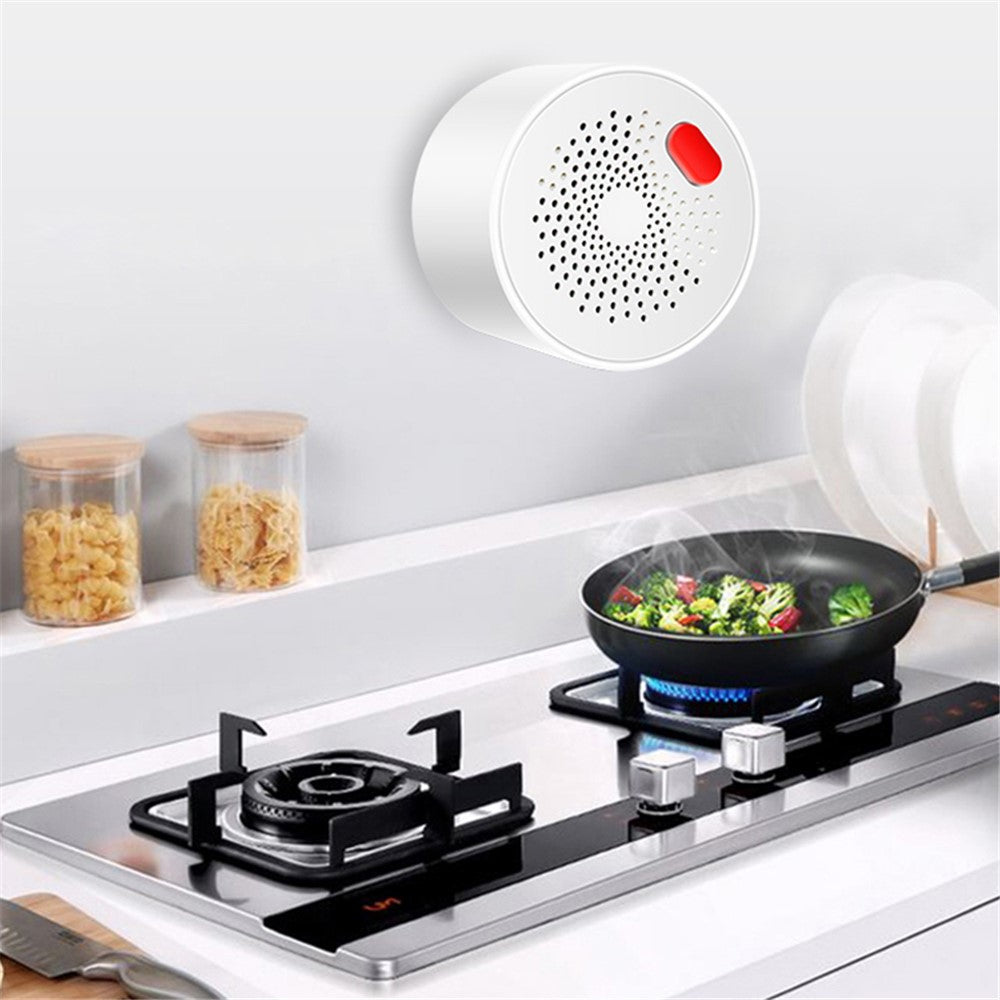 WiFi Gas Leak Sensor Tuya Natural Gas Alarm Plug In Explosive Gas Detector for Home