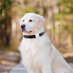 F2 Global Locator Waterproof Anti-Lost Bluetooth-compatible Tracker Collar