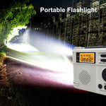 1195BT Udendørs Nød AM FM Radio Bluetooth-kompatibel Afspiller Håndsvinggenerator med Powerbank-funktion (EU-version)