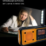 DAB376BT Outdoor Emergency Hand Crank Solar Radio with Power Bank Function DAB  /  FM Radio with Reading Light